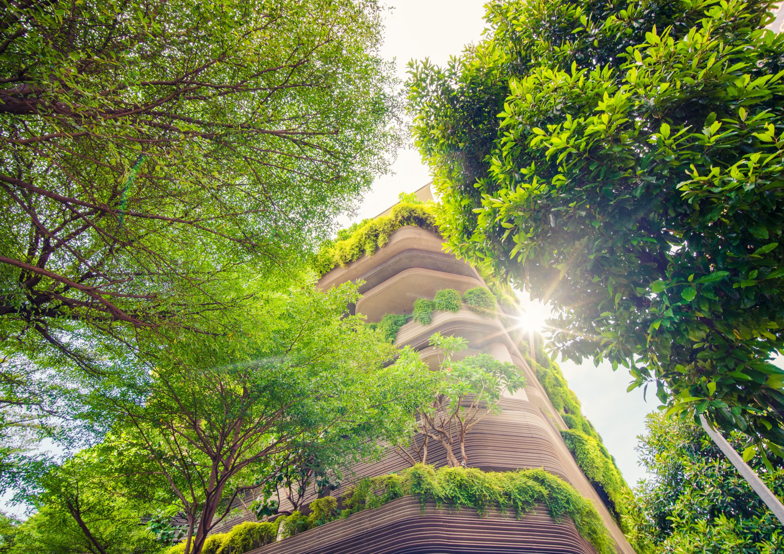 copy of copy of copy of our food (3)